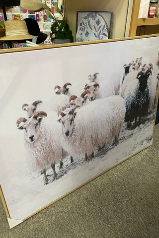 Winter Sheep Canvas