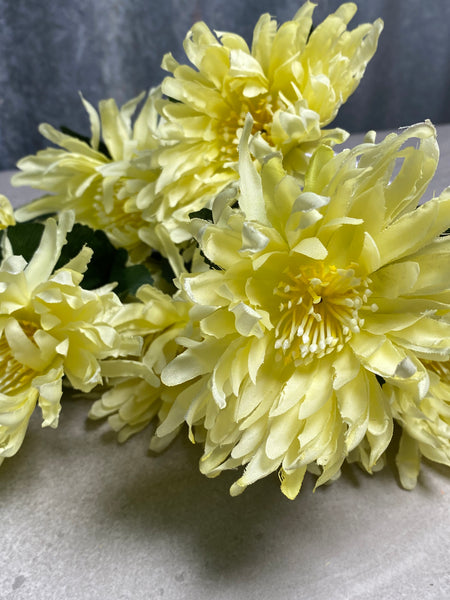 5H Chrysanthemum Bunch