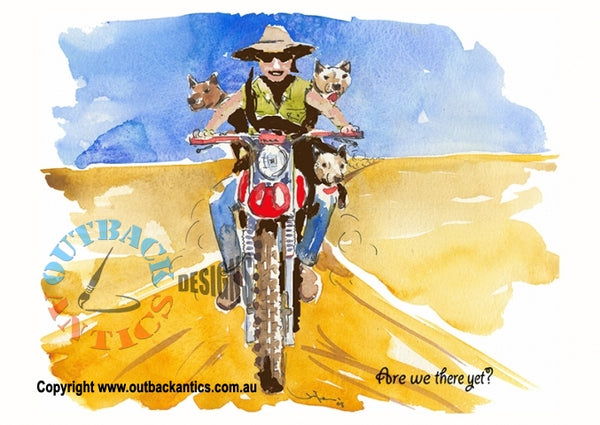 Outback Antics Greeting Cards