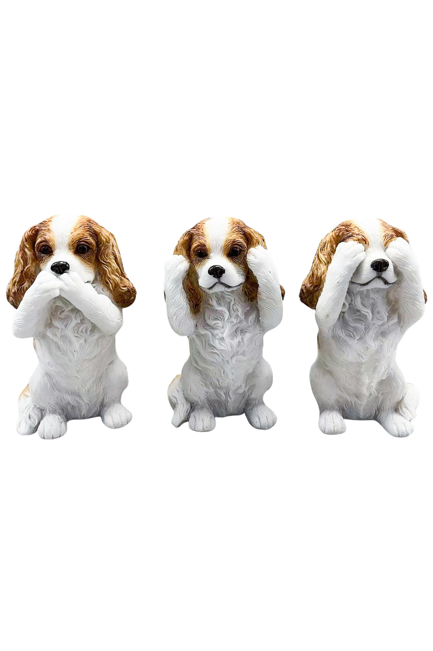 Hear/See/Speak King Charles