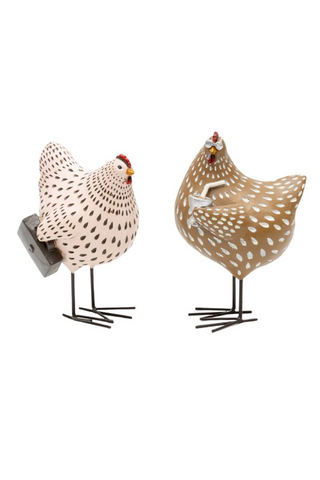 Busy Chook