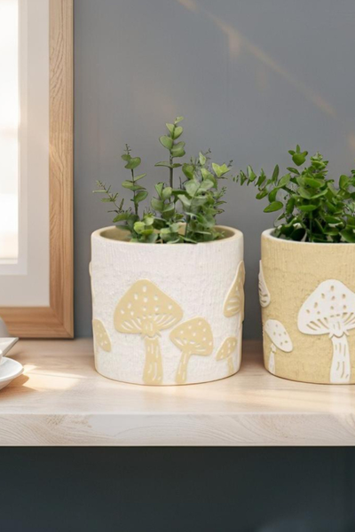 Mushroom Planter