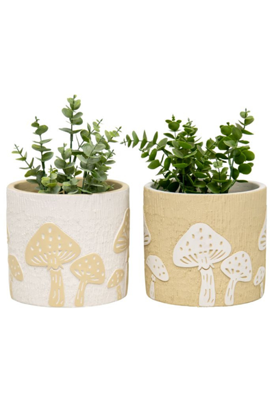 Mushroom Planter