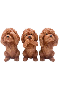Hear/See/Speak Cavoodles