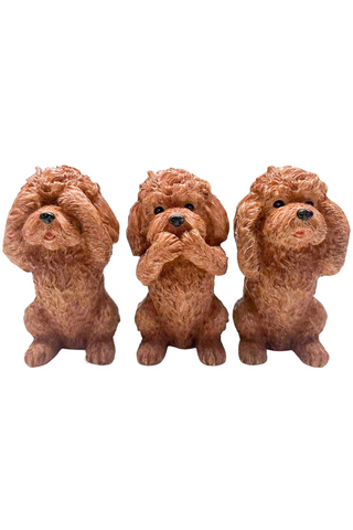 Hear/See/Speak Cavoodles