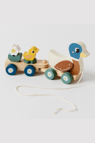 Duck Train set