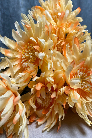 5H Chrysanthemum Bunch
