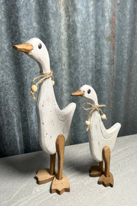 S/2 Shabby Ducks