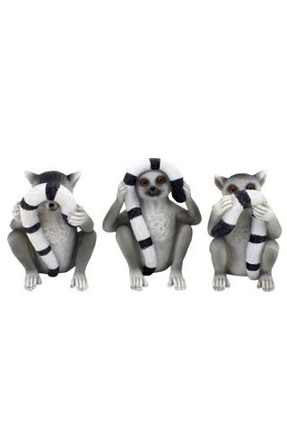 Hear/See/Speak Lemurs