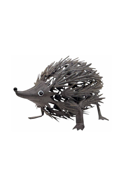 Eddie Echidna