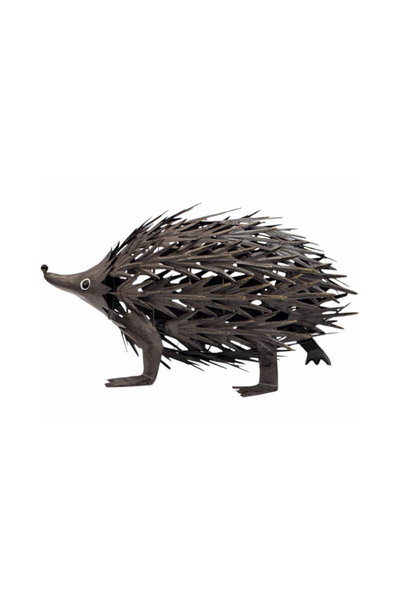 Eddie Echidna