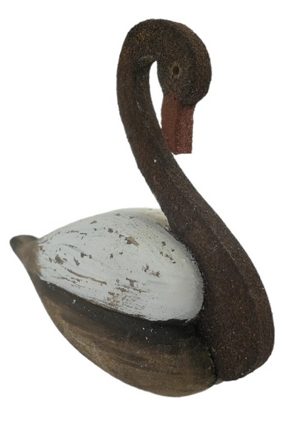 Graceful Swan
