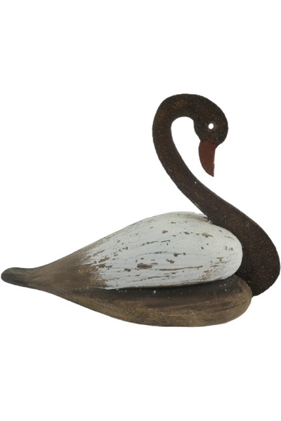 Graceful Swan