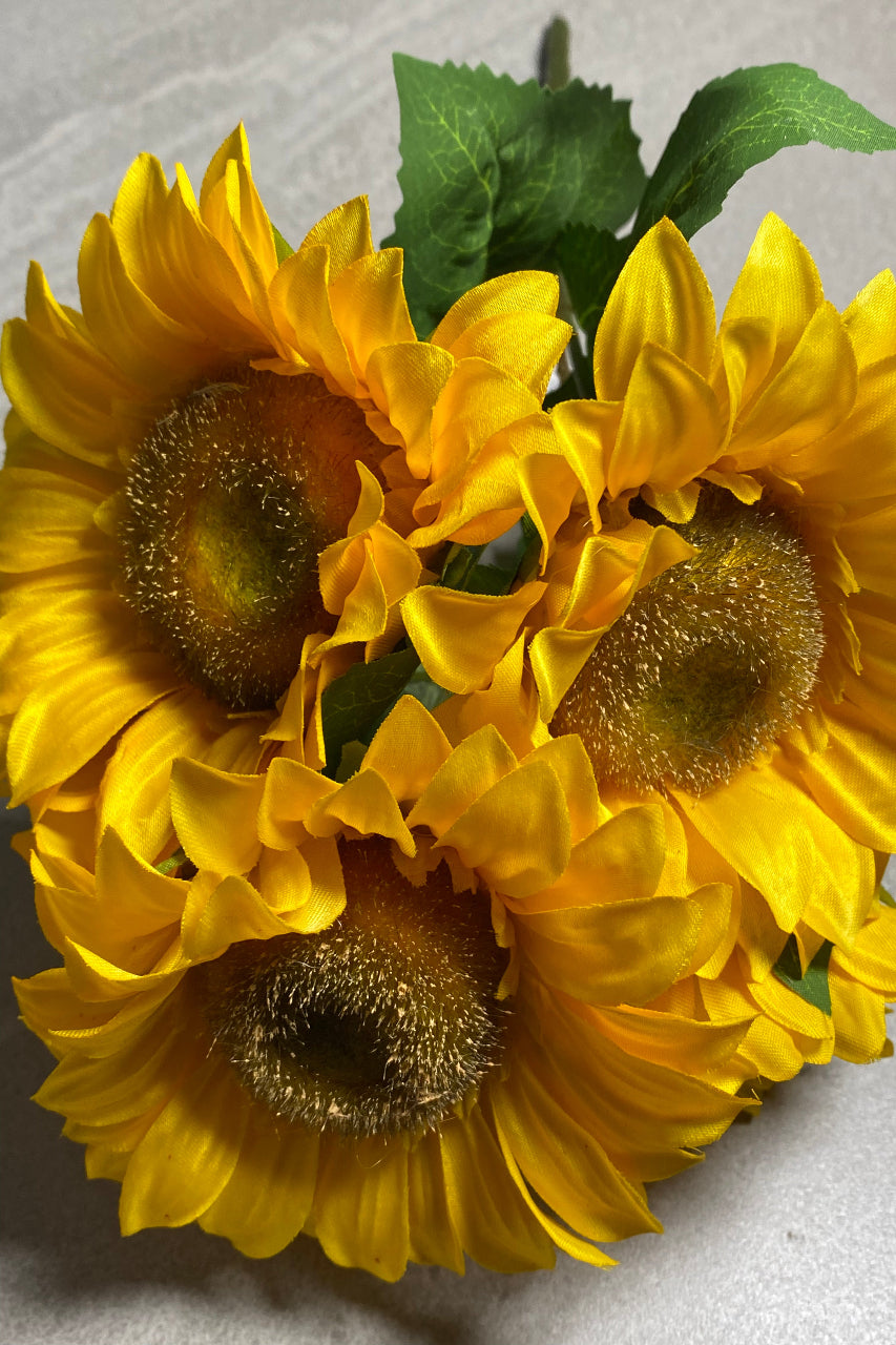 Golden Sunflowers