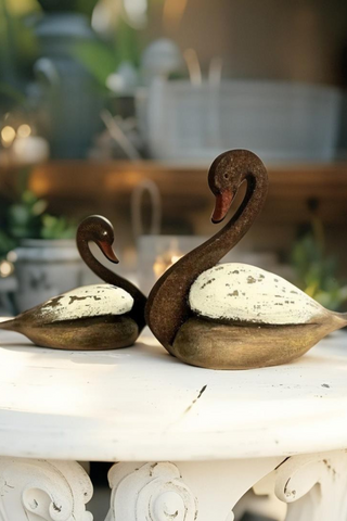 Graceful Swan