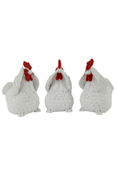 Hear/See/Speak Chooks