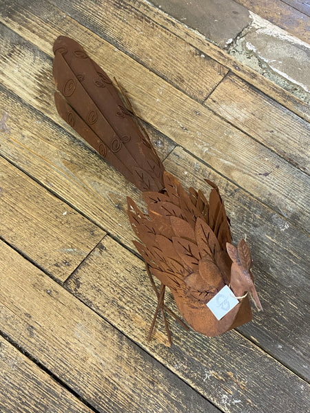 Rust Peacock