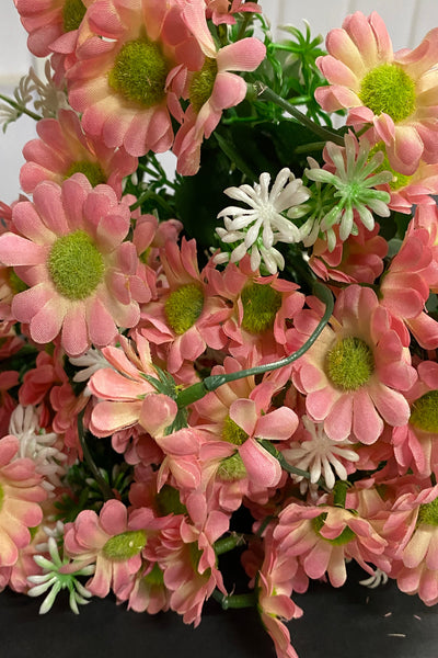 Retro Daisy Bush