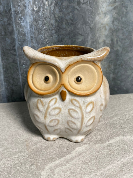 Ceramic Owl Planter