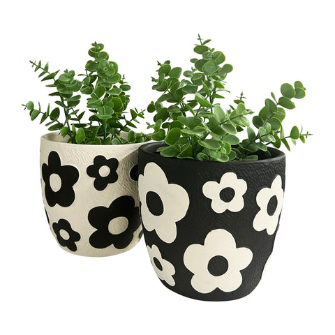 Monochrome Daisy Planter