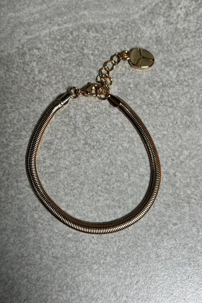 Snake Chain Bracelet