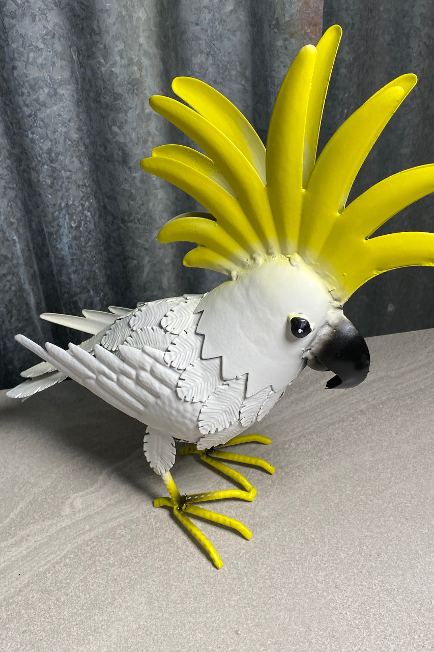 White Metal Cocky