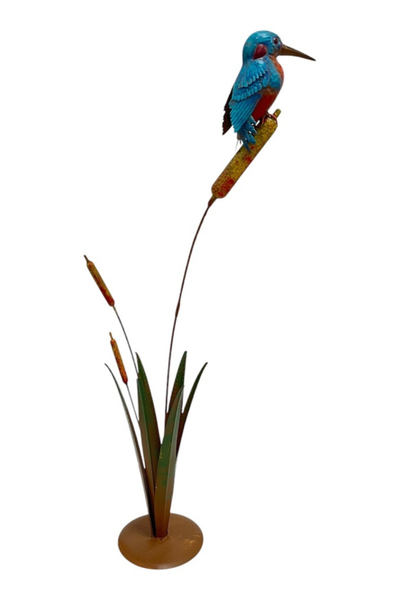Kingfisher on Bullrushes