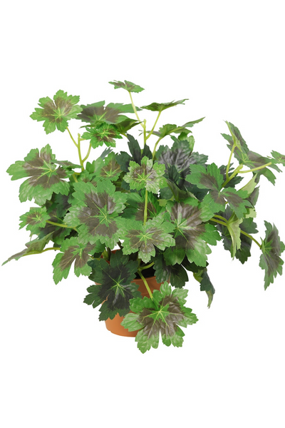 28cm Potted Grape Leaf Plant