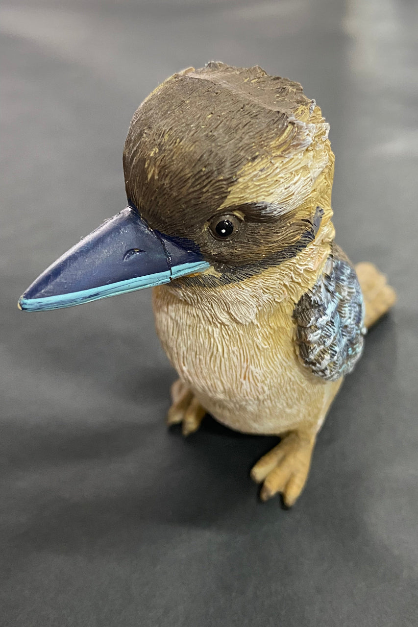 7cm Kookaburra