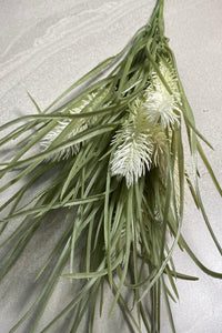 Pampas Grass Bush