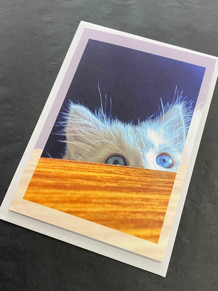 Creation Speaks Cards