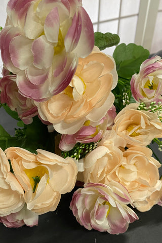 Camelia Bunch