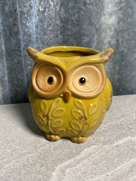 Ceramic Owl Planter