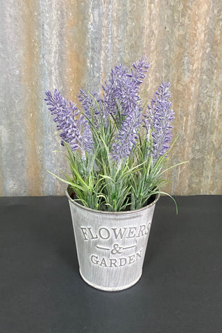 Tin Potted Lavender
