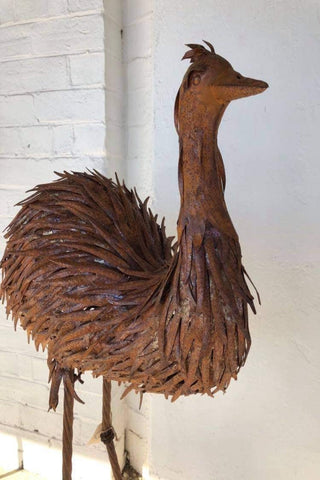 XL Dad Emu