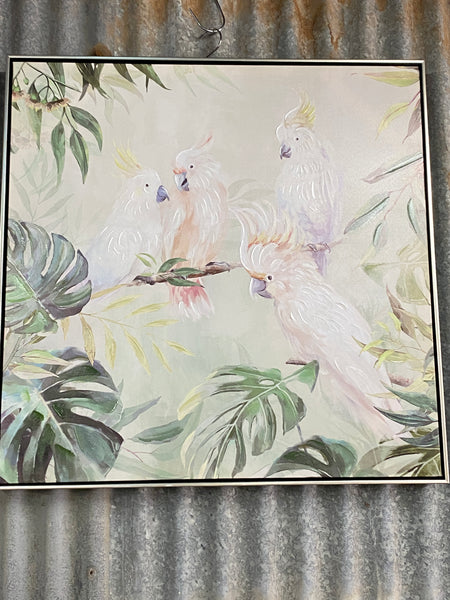 4 Cockatoo Canvas