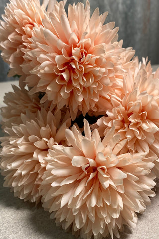 9H Chrysanthemum