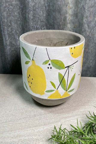 Lemon & Leaf Planter