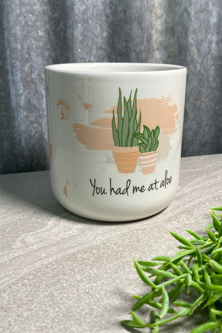 You Had Me At Aloe Planter