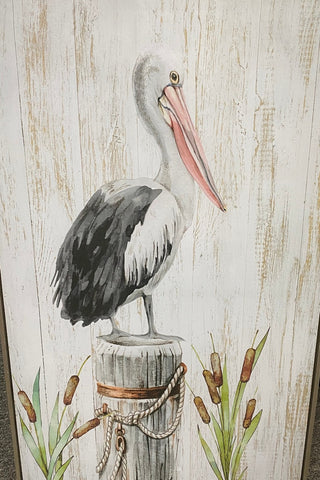 Pelican Canvas