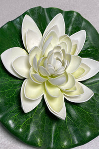 Floating Water Lily