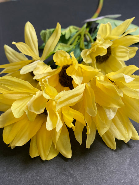 Gerbera Spray