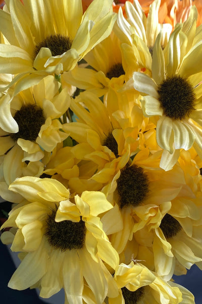 Gerbera Spray