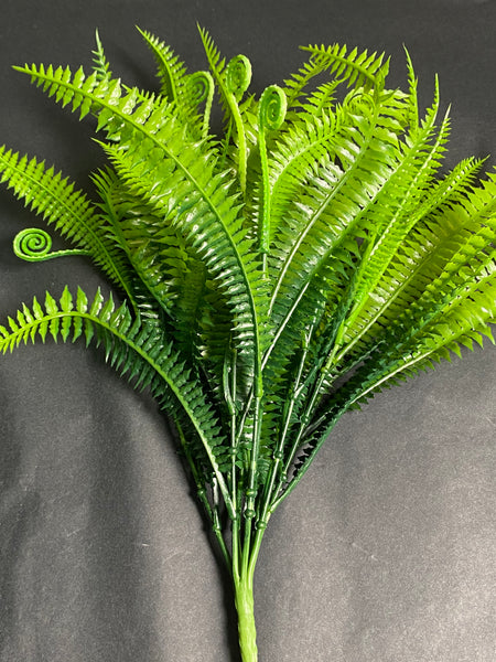 35cm Boston Fern