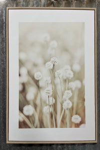 Delightful Dandelions