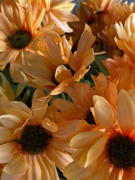 Gerbera Spray