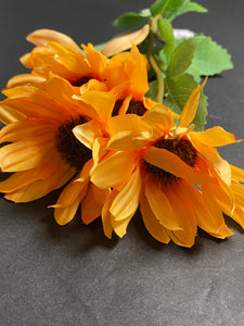 Gerbera Spray