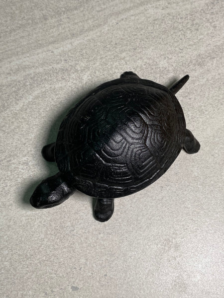 Terence Turtle