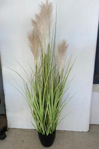 Potted Faux Pampas Grass