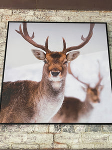 Deer Canvas